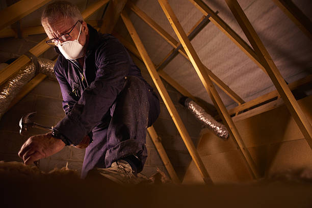 Best Insulation Materials and Products in Pine Hill, NJ